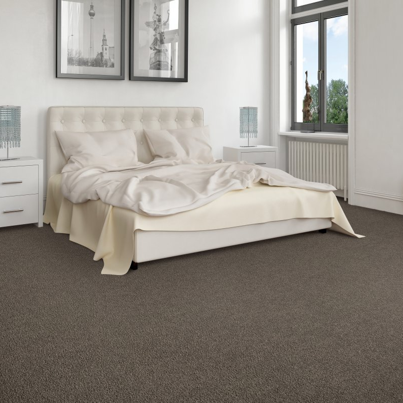 Shop at Home Carpets provides easy stain-resistant pet proof carpet in Bowling Green, KY-Exciting Selection I - dreamy